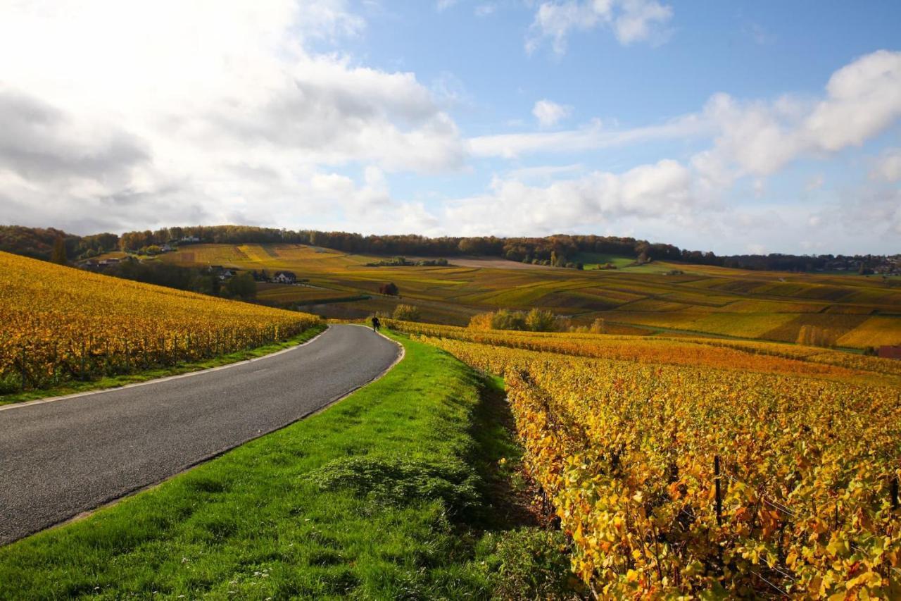 Hostellerie Briqueterie & Spa Champagne Vinay  Exterior photo Vineyards in the Moselle valley